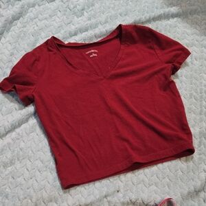wild fable Wine Red Crop Top